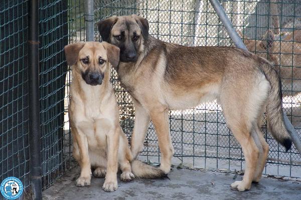 Pam, cerca chi sappia vederla davvero Foto 5